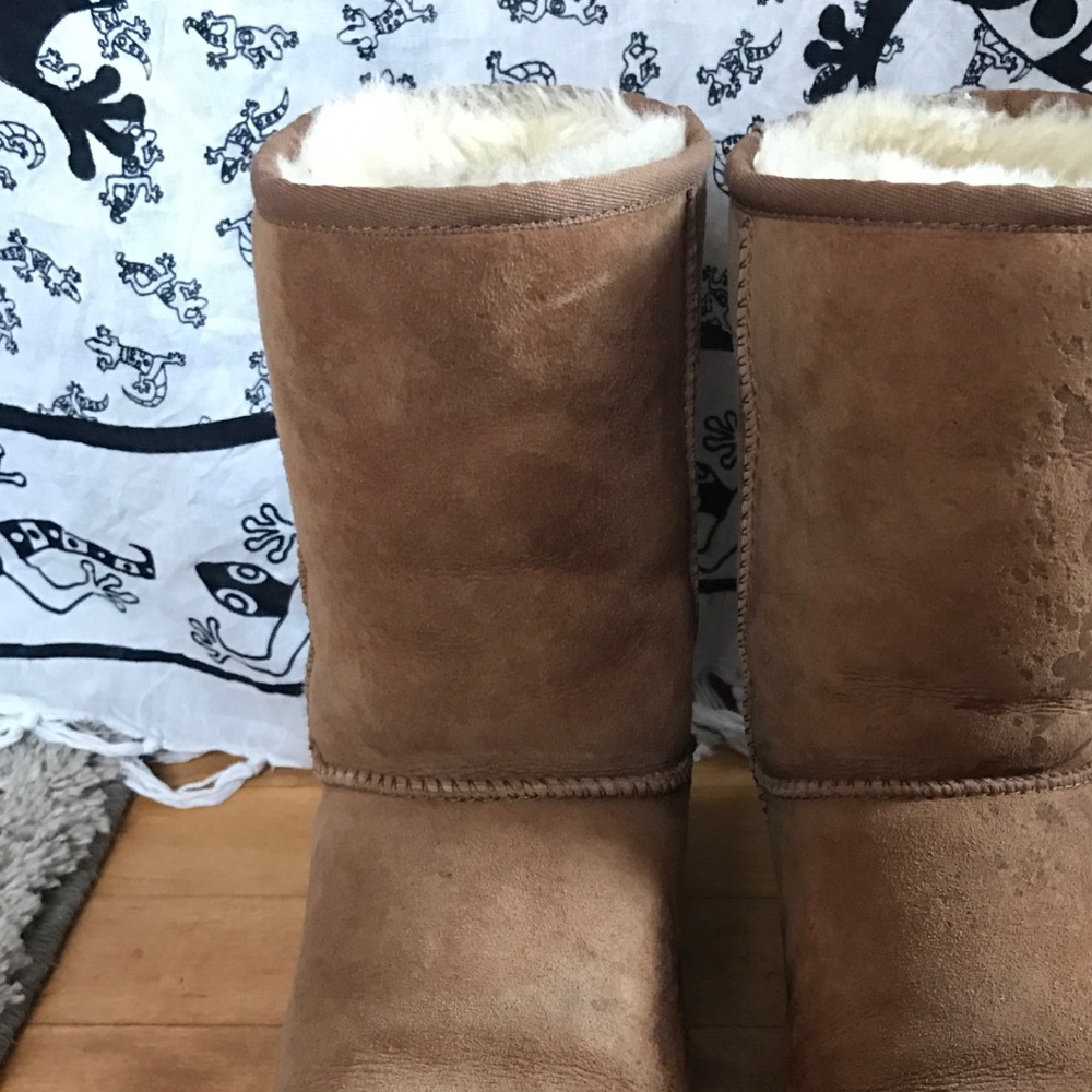 Uggs classic short chestnut boots